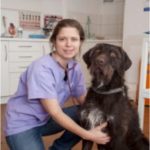 Dr. Birgit Seitlinger