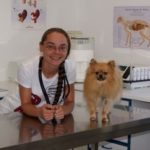 Mag. Alexandra Wiesner