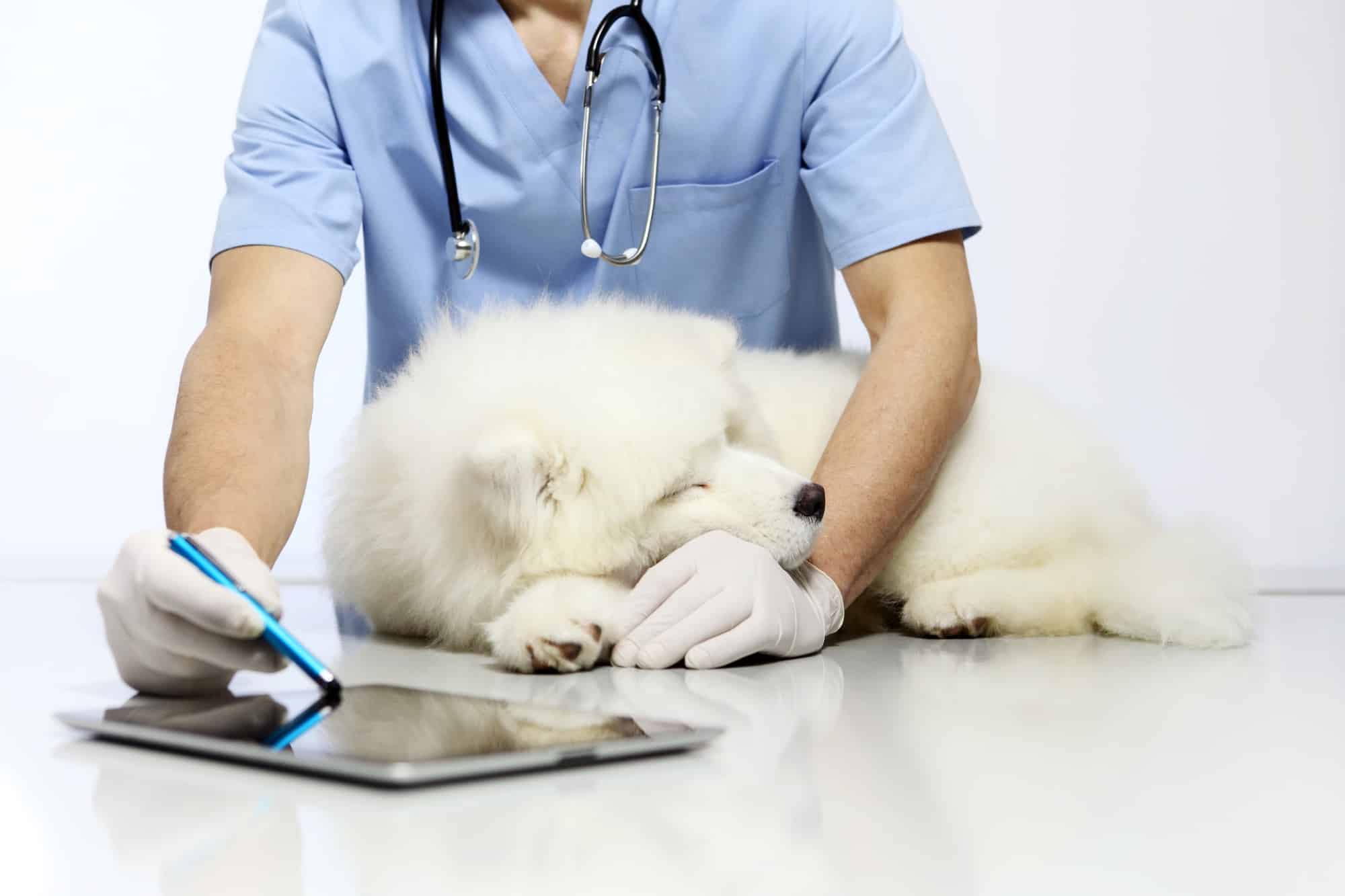 VET7.well Patientenverwaltung